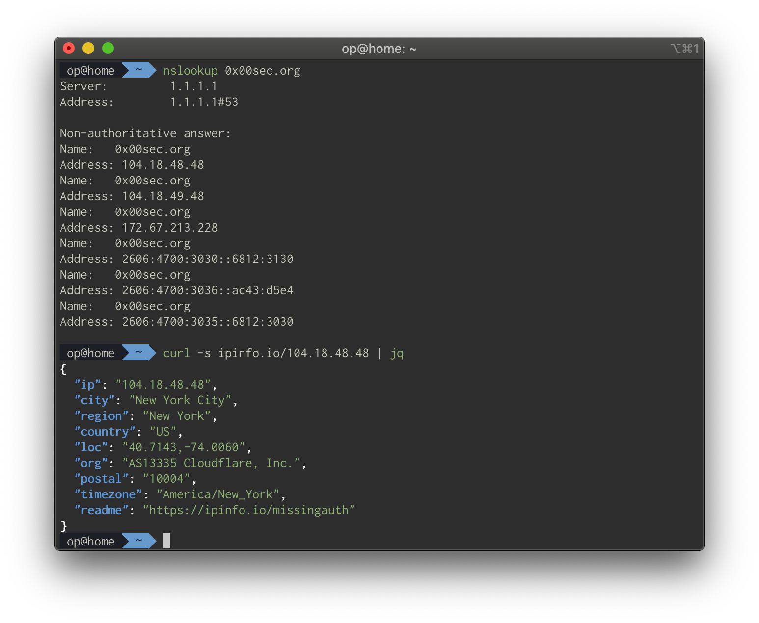 Terminal output resolving an IP's organization with dig and ipinfo.io