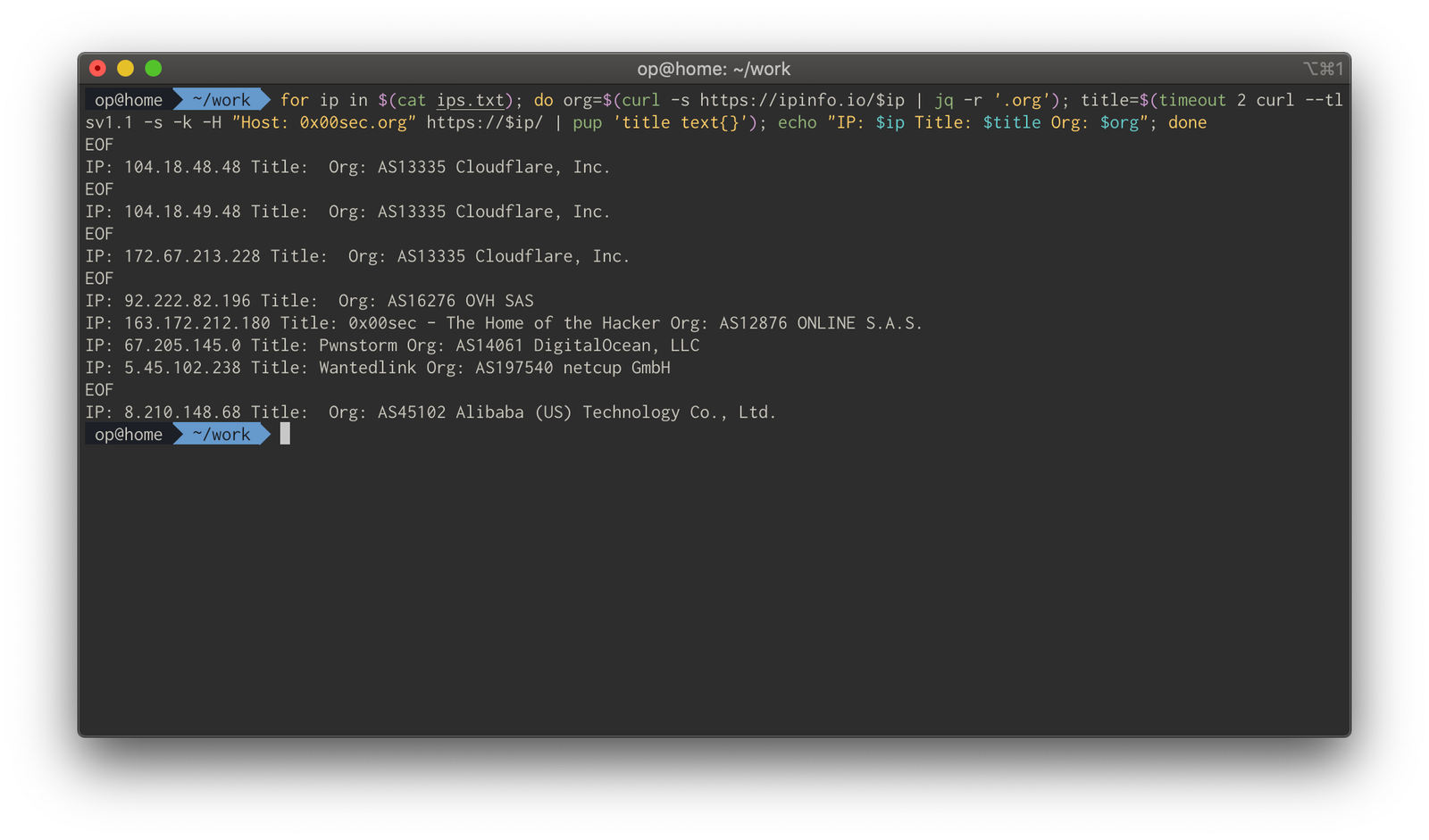 Terminal output listing each IP's title and organization, revealing the matching source host