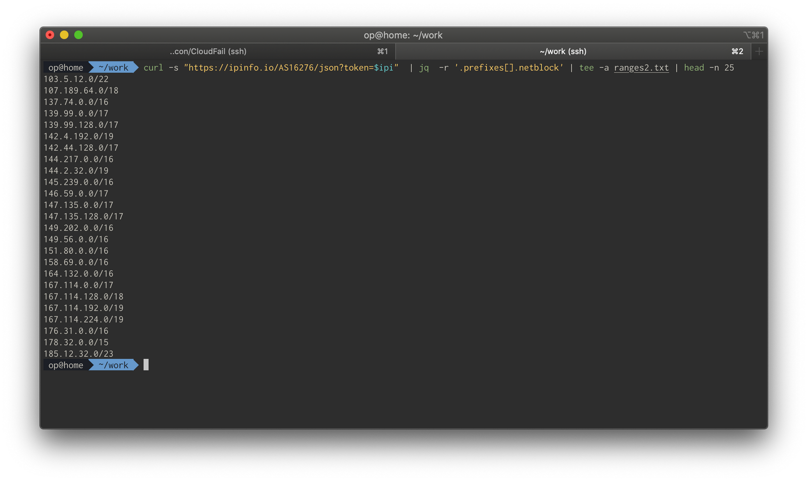 Terminal output pulling ASN netblock ranges from the ipinfo.io API
