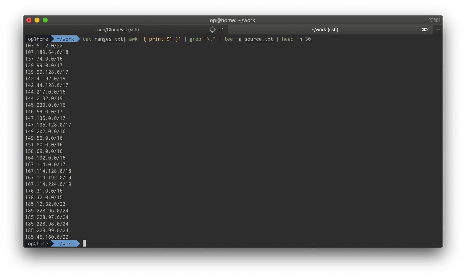 Terminal output filtering the ranges file down to netblock entries