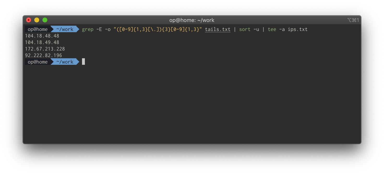 Deduplicated list of IP addresses written to ips.txt