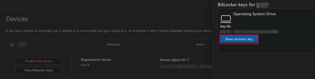 Recovery key reveal option