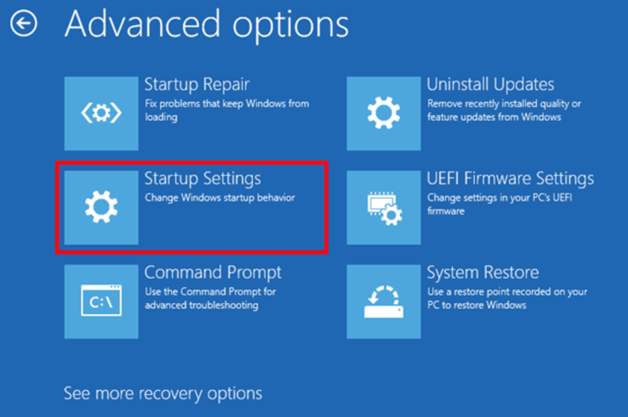 Windows Advanced options screen with Startup Settings selected